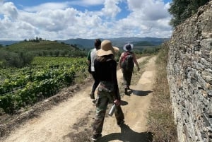 Долина Дору: 2 винодельни, обед на винодельне и 1 час на лодке