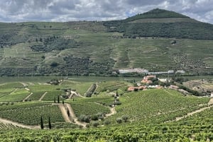 Долина Дору: 2 винодельни, обед на винодельне и 1 час на лодке