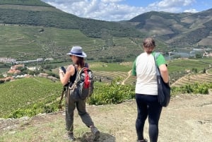 Долина Дору: 2 винодельни, обед на винодельне и 1 час на лодке