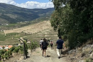 Долина Дору: 2 винодельни, обед на винодельне и 1 час на лодке