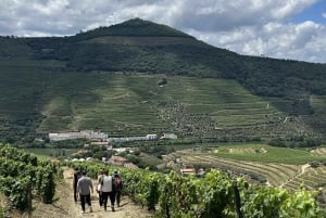 Долина Дору: 2 винодельни, обед на винодельне и 1 час на лодке