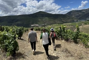 Долина Дору: 2 винодельни, обед на винодельне и 1 час на лодке