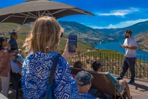 Porto: Douro-dalens historie og vinutflukt med cruise og lunsj