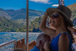 Porto: Douro-dalens historie og vinutflukt med cruise og lunsj