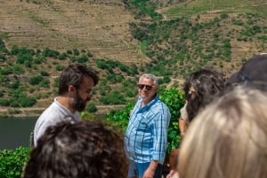 Porto: Douro-dalens historie og vinutflukt med cruise og lunsj