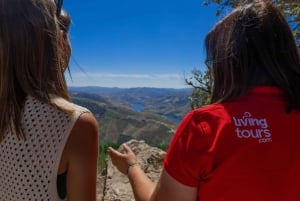 Porto: Douro-dalens historie og vinutflukt med cruise og lunsj