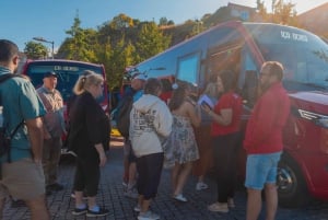 Porto: Douro-dalens historie og vinutflukt med cruise og lunsj