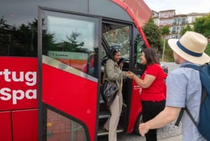 Porto: Douro-dalens historie og vinutflukt med cruise og lunsj