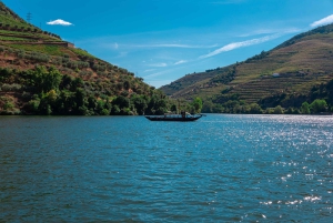 Porto: Douro Vallei Geschiedenis & Wijn Tour met Rondvaart & Lunch