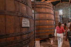 Porto: Douro Vallei Geschiedenis & Wijn Tour met Rondvaart & Lunch