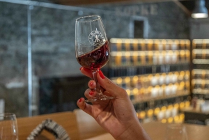 Porto: Douro Vallei Geschiedenis & Wijn Tour met Rondvaart & Lunch