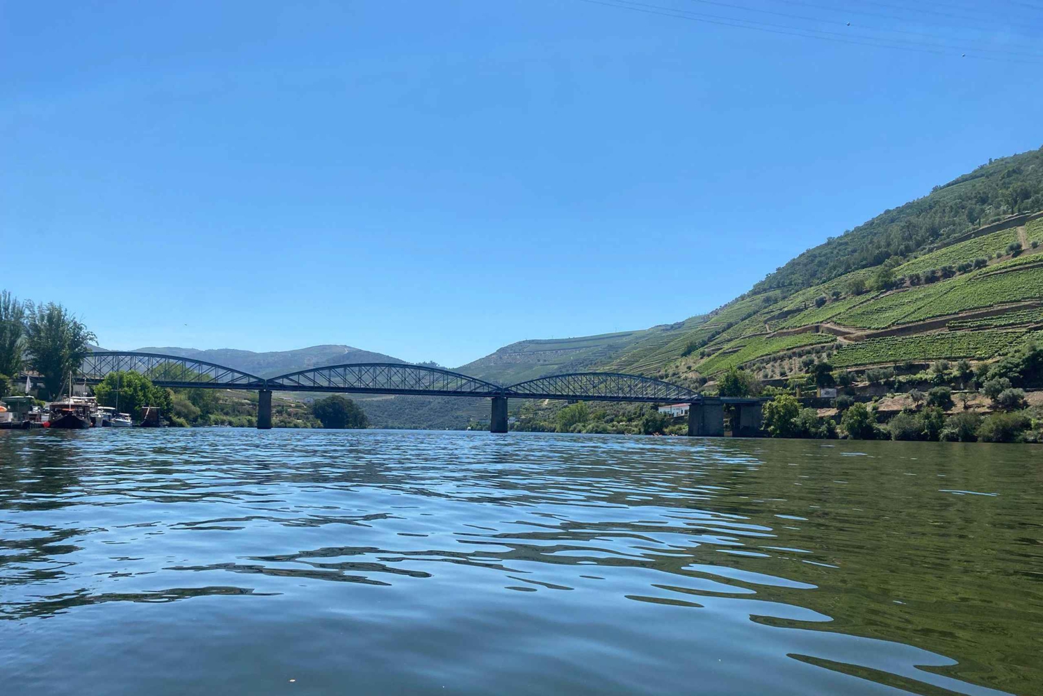 Porto: Douro Valley Private Tour 2 Vineyards & River Cruise