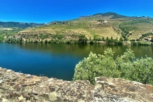 ポルト：ドウロ渓谷プライベート ツアー 2 つのブドウ園とリバー クルーズ