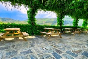 ポルト：ドウロ渓谷プライベート ツアー 2 つのブドウ園とリバー クルーズ