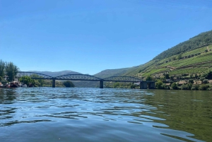 Porto: Douro Valley Private Tour 2 Vineyards & River Cruise