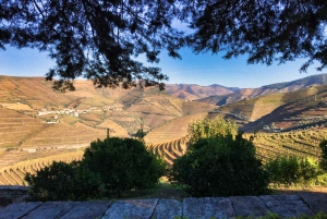 Porto: Douro Valley Private Tour 2 Vineyards & River Cruise