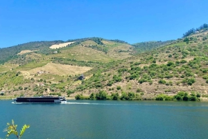Porto: Douro Valley Private Tour 2 Vineyards & River Cruise