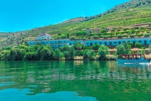 Porto: Prywatna wycieczka po Dolinie Duero, degustacje, rejs i lunch
