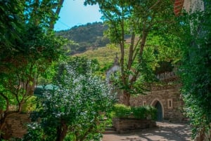 Porto: Prywatna wycieczka po Dolinie Duero, degustacje, rejs i lunch