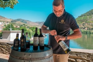 Porto: Prywatna wycieczka po Dolinie Duero, degustacje, rejs i lunch