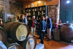 From Porto: 2 Wine Regions, Farm Lunch, and Boat Ride