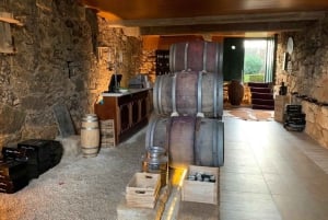 Porto : Visite de la vallée du Douro avec 3 dégustations, déjeuner et croisière Opt. Croisière