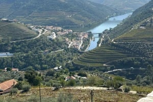 Porto : Visite de la vallée du Douro avec 3 dégustations, déjeuner et croisière Opt. Croisière