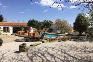 Porto : Visite de la vallée du Douro avec 3 dégustations, déjeuner et croisière Opt. Croisière