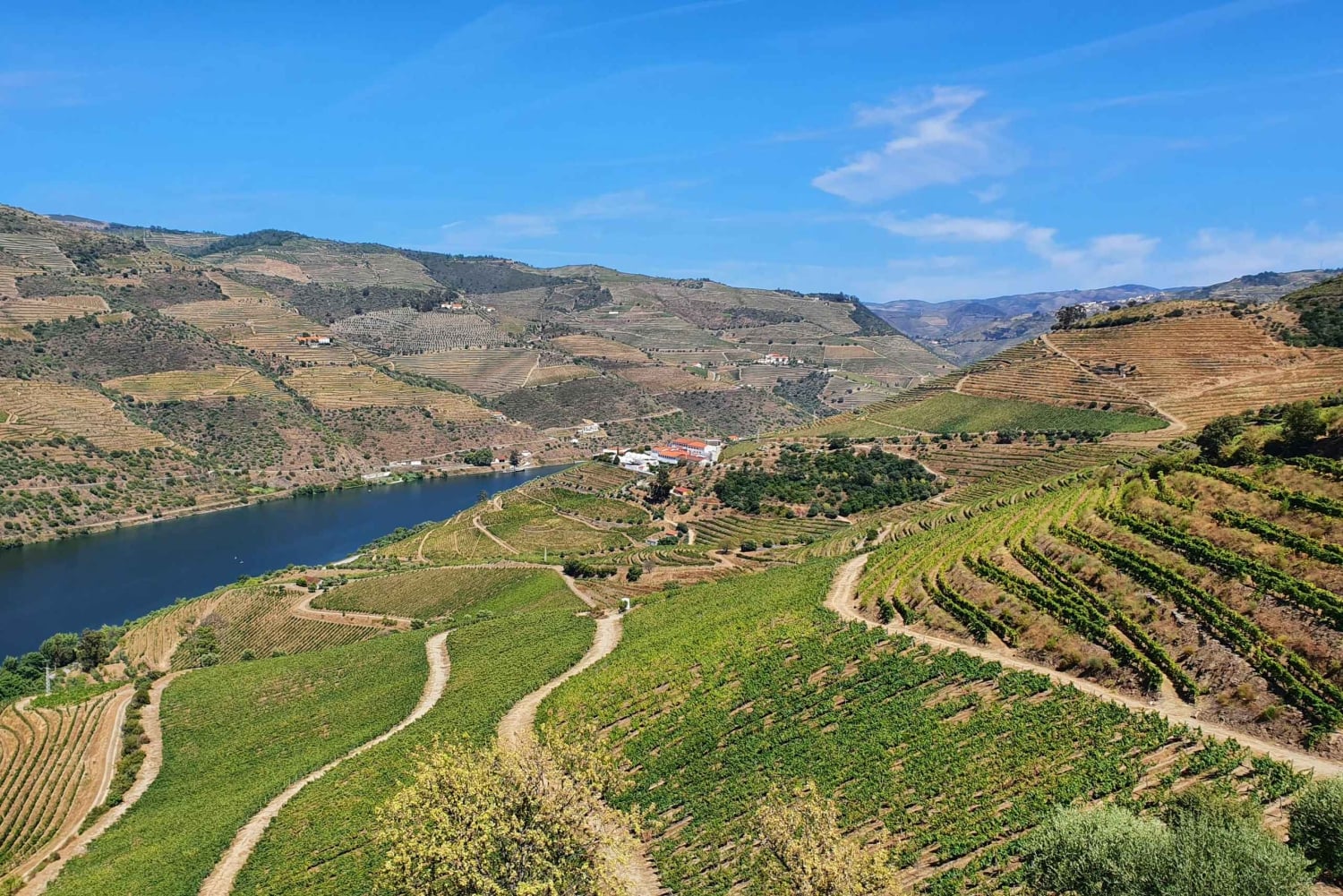 Oporto: Excursión por el Valle del Duero con cata de vinos, tour en barco y almuerzo