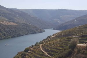 Oporto: Excursión por el Valle del Duero con cata de vinos, tour en barco y almuerzo