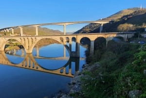 Oporto: Excursión por el Valle del Duero con cata de vinos, tour en barco y almuerzo