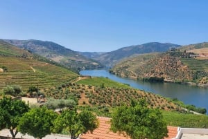 Oporto: Excursión por el Valle del Duero con cata de vinos, tour en barco y almuerzo