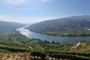 Oporto: Excursión por el Valle del Duero con cata de vinos, tour en barco y almuerzo