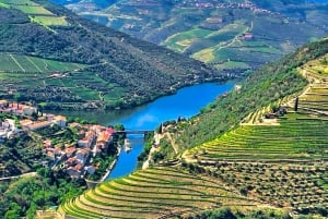 Porto : visite de la vallée du Douro avec 2 caves, déjeuner et croisière