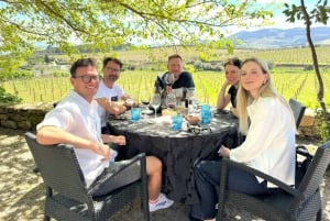 Porto : visite de la vallée du Douro avec 2 caves, déjeuner et croisière