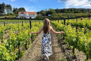 Porto : visite de la vallée du Douro avec 2 caves, déjeuner et croisière