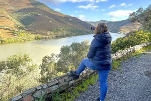 Porto : visite de la vallée du Douro avec 2 caves, déjeuner et croisière