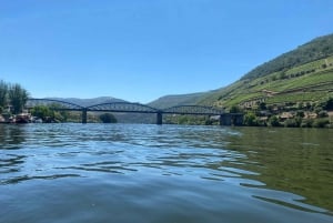 Porto : visite de la vallée du Douro avec 2 caves, déjeuner et croisière