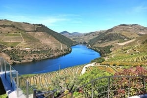 Porto : visite de la vallée du Douro avec 2 caves, déjeuner et croisière