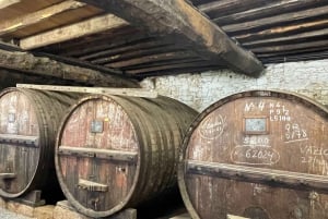 Porto : visite de la vallée du Douro avec 2 caves, déjeuner et croisière