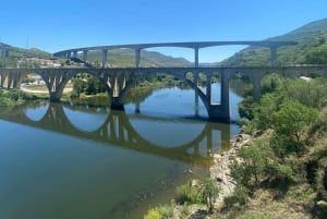 Porto : visite de la vallée du Douro avec 2 caves, déjeuner et croisière