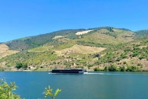 Porto : visite de la vallée du Douro avec 2 caves, déjeuner et croisière