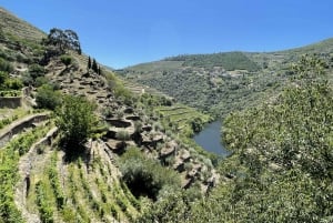 Porto : visite de la vallée du Douro avec 2 caves, déjeuner et croisière