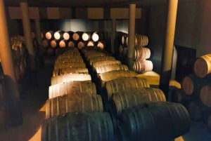 Porto : visite de la vallée du Douro avec 2 caves, déjeuner et croisière