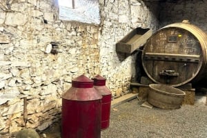 Porto : visite de la vallée du Douro avec 2 caves, déjeuner et croisière