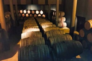 Porto : visite de la vallée du Douro avec 2 caves, déjeuner et croisière