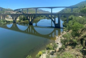 Porto : visite de la vallée du Douro avec 2 caves, déjeuner et croisière