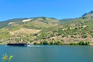 Porto : visite de la vallée du Douro avec 2 caves, déjeuner et croisière