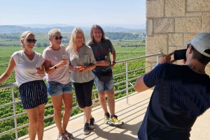 Porto: Tour della Valle del Douro con 2 cantine, pranzo e crociera