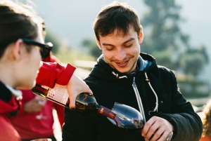 Porto: Tour della Valle del Douro con 2 cantine, pranzo e crociera